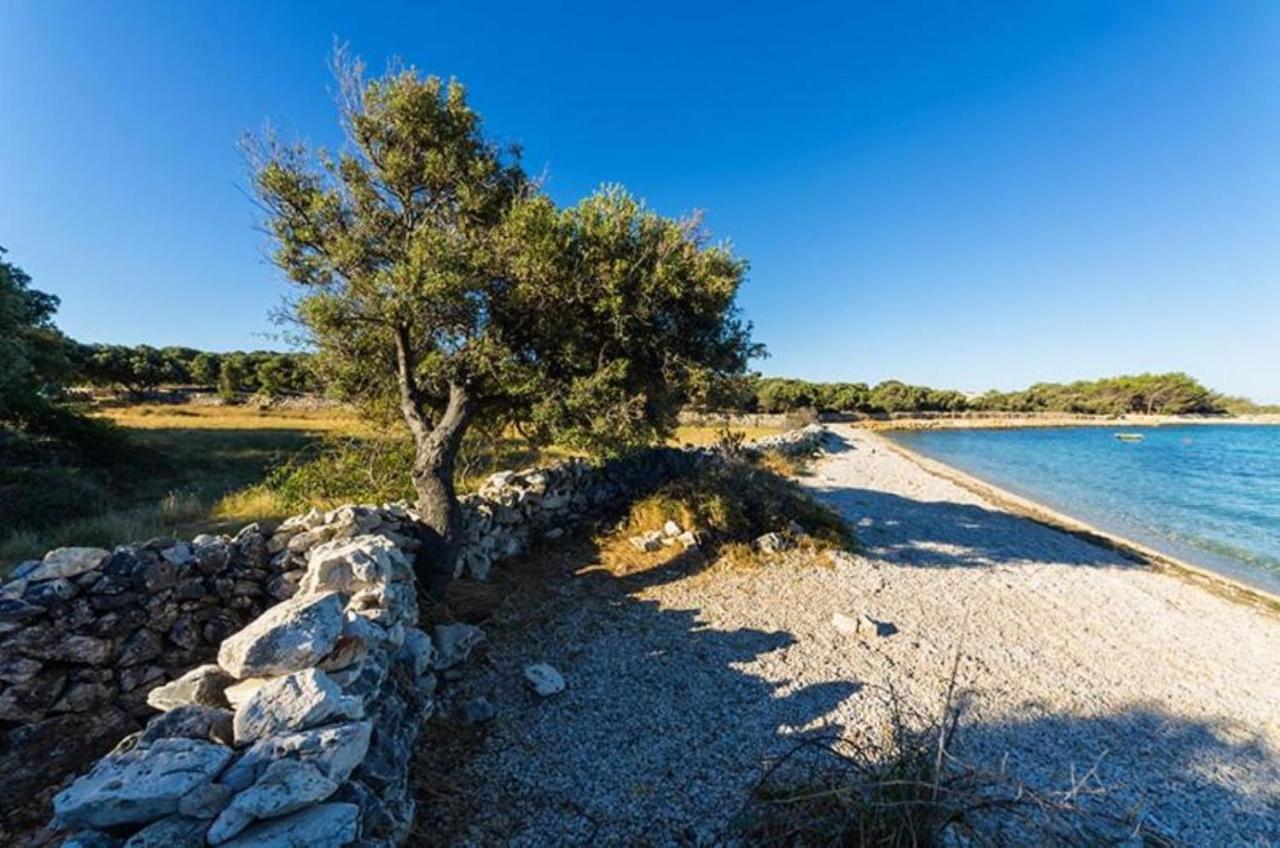 Apartments Besedic Mandre Εξωτερικό φωτογραφία