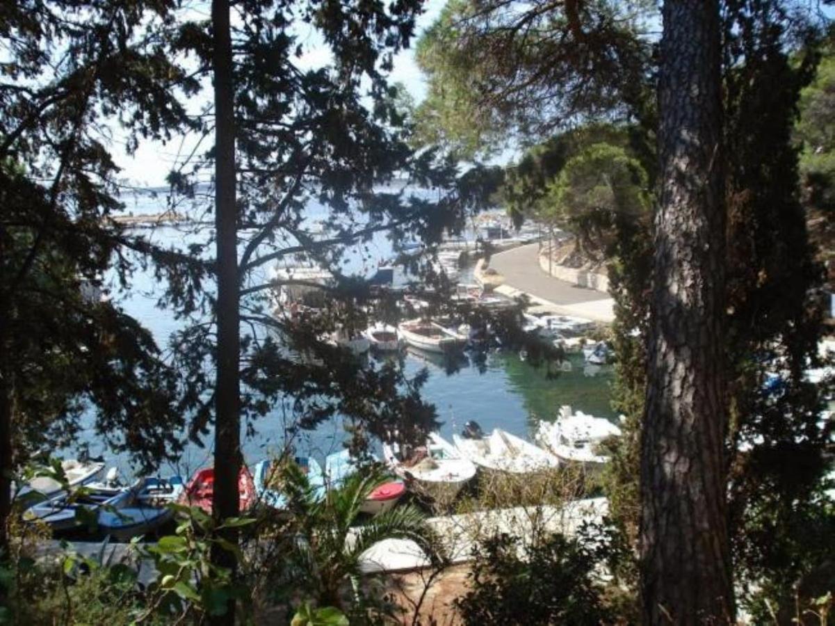 Apartments Besedic Mandre Εξωτερικό φωτογραφία